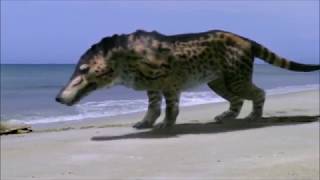 Walking with Beasts  Andrewsarchus All Scenes [upl. by Ojoj]