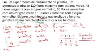 Resolução de exercícios Segunda Lei de Mendel e Quiquadrado [upl. by Abott]