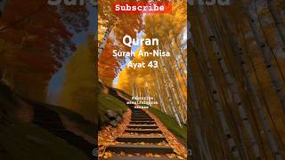 Surah Nisa Urdu translation Ayat 43  Soulful Quran Verses shorts [upl. by Hillyer]