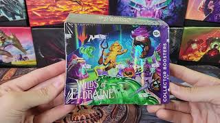 MTG Wilds of Eldraine Collector Booster Box Opening  One of the Best Anime Arts [upl. by Ardnossac]