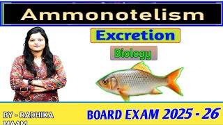 Ammonotelism kya hai  ssc gd science  biology radhika mam a to z science batch [upl. by Coral533]