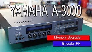 Yamaha A 3000 Synth Hunter Episode 42 [upl. by Soalokin327]