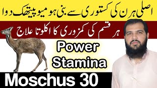 Moschus homeopathic medicine in hindi  Kasturi ke fayde  Moschus 200  Moschus 30 [upl. by Gredel670]