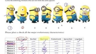 AP Biology  Cladogram Practice with Minions [upl. by Rilda]