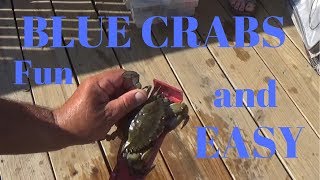 How to Catch Blue Crab Easy [upl. by Ainotahs994]