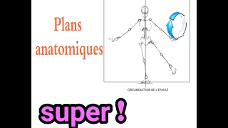 Les plans anatomiques [upl. by Narhet]