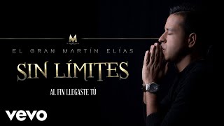 El Gran Martín Elías  Al Fin Llegaste Tú Cover Audio [upl. by Ahsets]