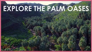 Explore the Palm Oases  Wander List [upl. by Marlow]