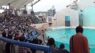 須磨海浜水族園 テーマソング [upl. by Ogires553]