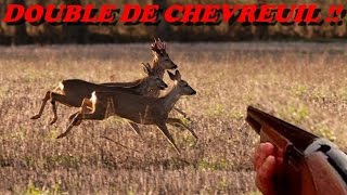 DOUBLE DE CHEVREUIL   Chasse en Bretagne [upl. by Bussey180]