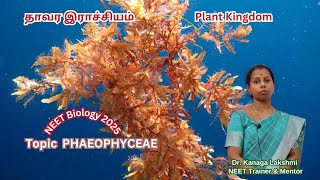 நீட் உயிரியல் தமிழில் விளக்கம் 2025  Topic PHAEOPHYCEAE [upl. by Brost]