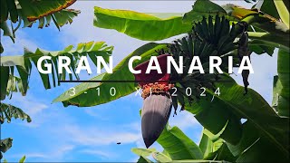 Gran Canaria 2024  by CzemuNie [upl. by Luht]