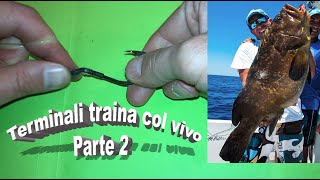 FINALI TRAINA col vivo TUTORIAL Parte II [upl. by Harriette]