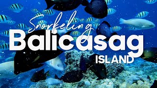 4K Philippine Snorkeling at Balicasag Island  Bohol 2023 [upl. by Ranique471]