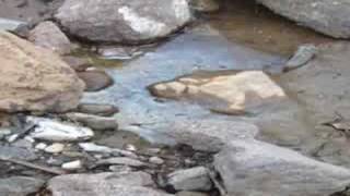 Impacto Mediambiental Por la Mineria video 2 [upl. by Stone]