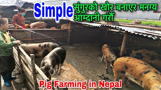 Pig Farming Bhaktapur Nepal  Pig Farming in Nepal  Shorts [upl. by Chaddie]