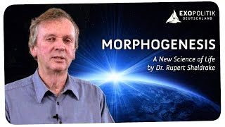 Rupert Sheldrake Morphogenesis  A New Science of Life [upl. by Dnalerb]