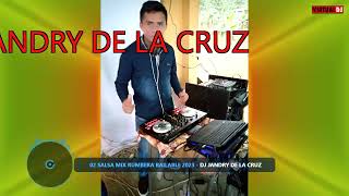 02 SALSA MIX RUMBERA BAILABLE  DJ JANDRY DE LA CRUZ [upl. by Charmion565]