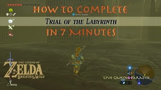 Breath of the Wild  Trial of the Labyrinth FAST Guide [upl. by Church]