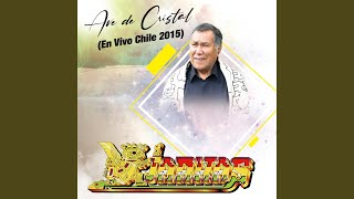 Ave de Cristal En Vivo Chile 2015 [upl. by Apps]