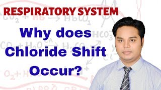 Why Does Chloride Shift Occur [upl. by Harv667]