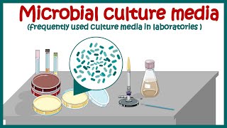 Bacterial culture media classification and types of bacterial media  enriched amp differential media [upl. by Adiehsar]