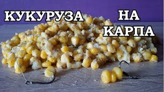 ЛУЧШАЯ КУКУРУЗА на КАРПА и всей МИРНОЙ РЫБЫ [upl. by Anehc288]