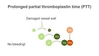 How to interpret a partial thromboplastin time PTT test [upl. by Nywrad518]