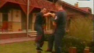 Leung Ting Wing Tsun Hungary Kecskemét 2006 [upl. by Gathers]