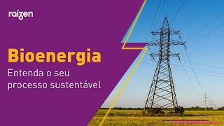 Entenda o que é bioenergia e o seu processo sustentável [upl. by Foss]