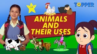 Exploring the Uses of Animals  Endangered Animals  Class 1 to 5 [upl. by Retsev]