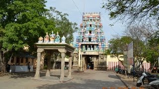 Thadikombu  Sri Soundaraja Perumal  Dindigul [upl. by Anirrehs]