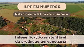 ILPF em números Intensificação sustentável da produção agropecuária [upl. by Regine]