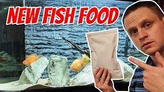 NEW High Protein Fish Food for Cichlids and Goldfish [upl. by Suki799]