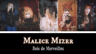 Malice Mizer  Bois de Merveilles  Romaji Lyrics  English Subtitles [upl. by Gussy]