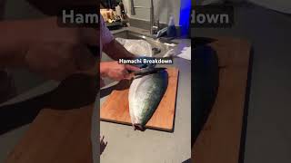 Mastering Hamachi in 5 Minutes The Ultimate Guide [upl. by Leeland]