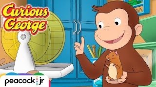 Georges Tiny Hamster Playground  CURIOUS GEORGE [upl. by Kanter]