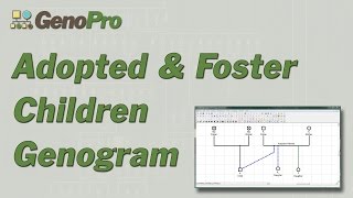 Adopted amp Foster children in genograms [upl. by Inna]