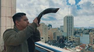 SHOFAR in Jerusalem  Ancient music horn  Jewish [upl. by Ardnasil]