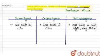 On the basis of cell wall differentiate between parenchyma  collenchyma and sclerenchyma  9 [upl. by Kirven523]