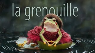 La grenouille V1 [upl. by Elades612]