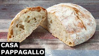 Come Fare Il Pane Senza Impasto [upl. by Swane]