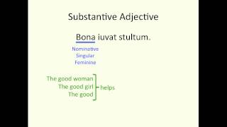 Substantive Adjectives [upl. by Haisoj]