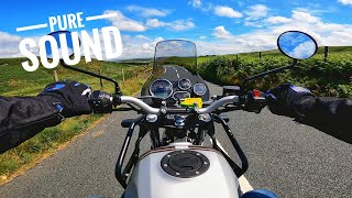 Royal Enfield Himalayan  Pure Sound [upl. by Kore]