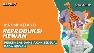 Reproduksi Hewan Perkembangbiakan Seksual pada Hewan  SMP Kelas 9  Part 2 [upl. by Aknaib635]