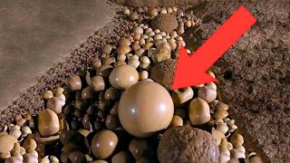 Hikers Find Strange Stones In Cave  When Expert Sees It He Turns Pale [upl. by Aketahs]