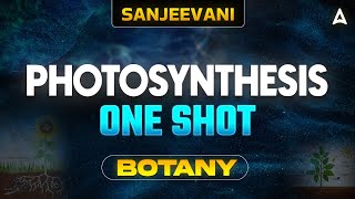 PHOTOSYNTHESIS CLASS 11 ONE SHOT  NEET 2024  ALL CONCEPT AND TRICKS  BOTANY BY SANKALP BHARAT [upl. by Keraj]