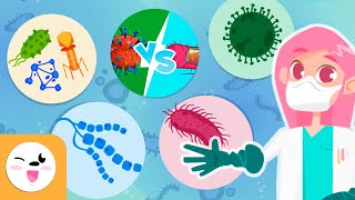 Microorganisms  Compilation Video  Bacteria Viruses and Fungi  Explanation for Kids [upl. by Herzberg]