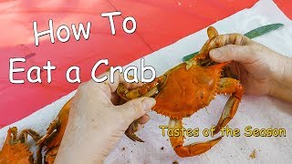 How to Eat a Whole Crab Using a Maryland Blue Crab Tastes of the Season 2023 [upl. by Barmen]