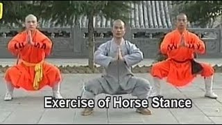 Shaolin Kung Fu basic moves [upl. by Pamelina]